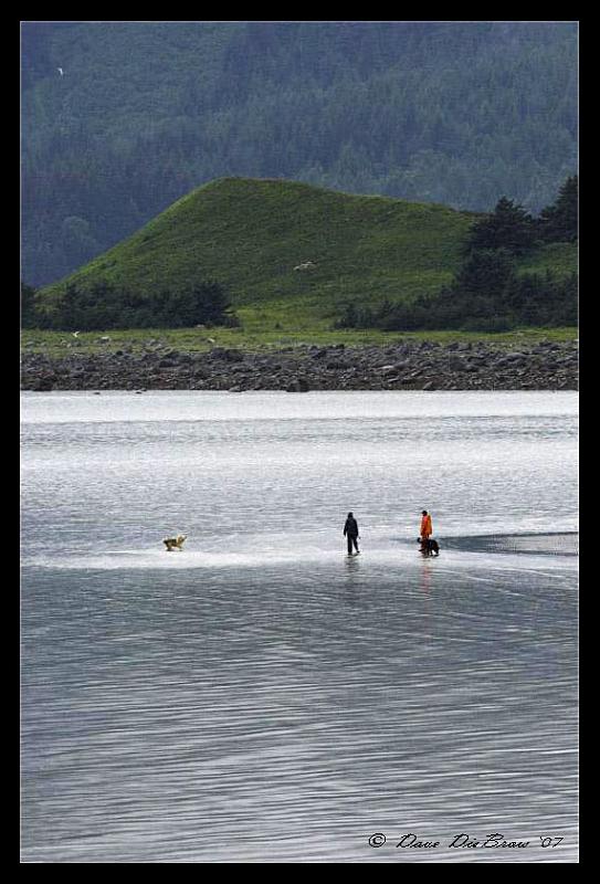 beach-stroll_7573.jpg - A couple of folks enjoying a stroll on the tidal bars with their pets in the Chilkat River