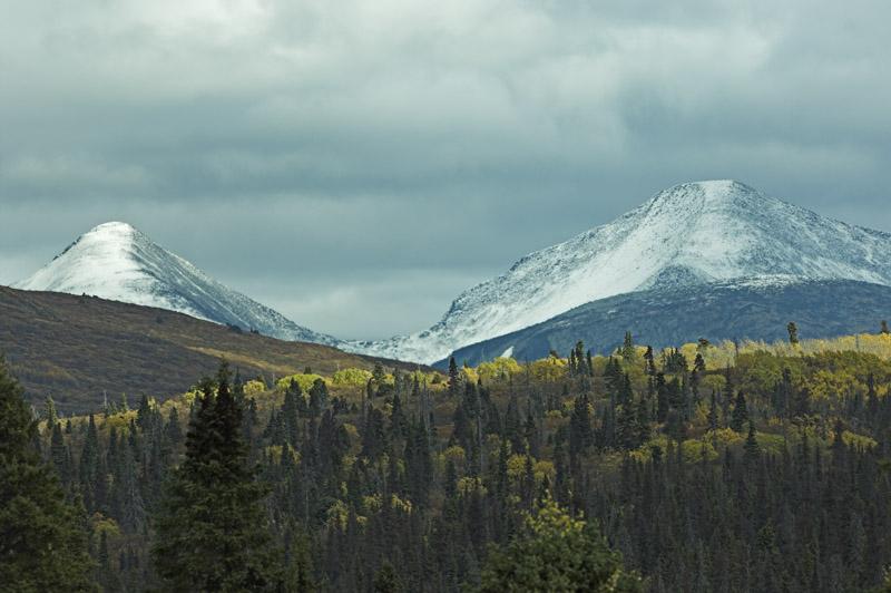 _DIZ9257.jpg - Fall colors in the mountains