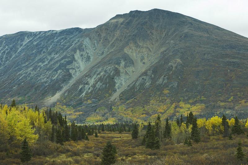 _DIZ9266.jpg - Fall colors in the mountains