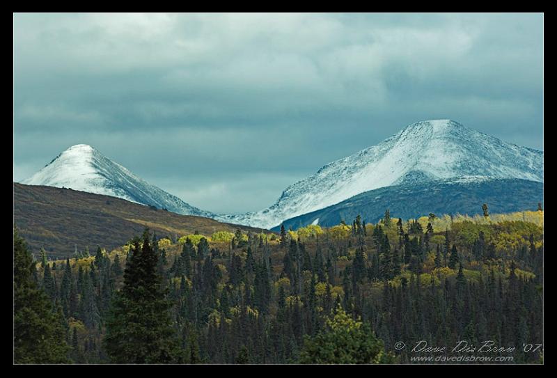fall_9257.jpg