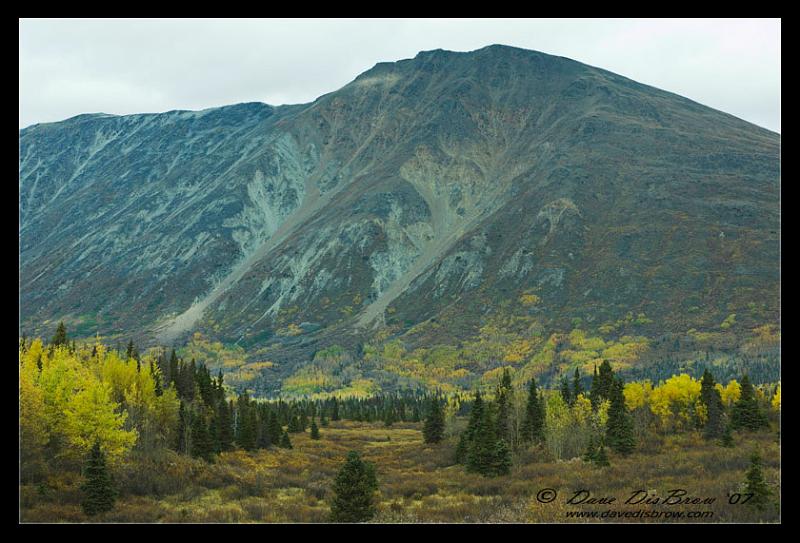 fall_9266.jpg