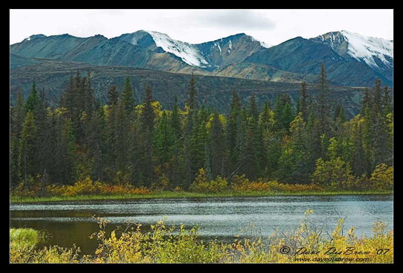 fall_9270.jpg