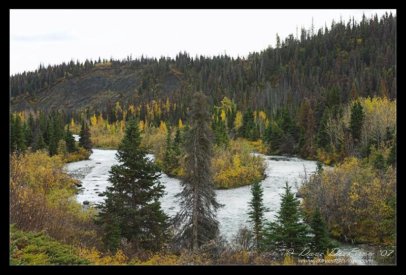 fall_9276.jpg