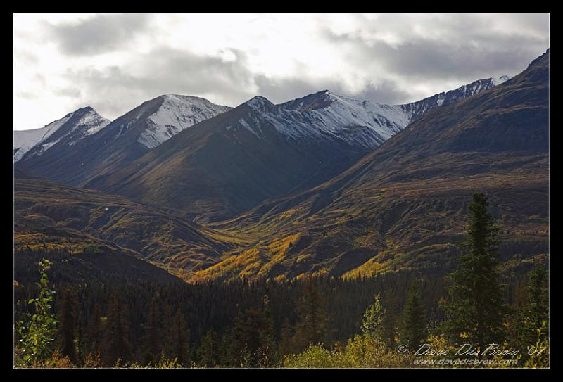 fall_9298.jpg