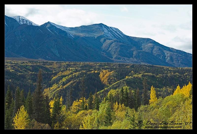 fall_9300.jpg