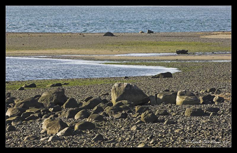 beach_2479.jpg - Tidal Beach