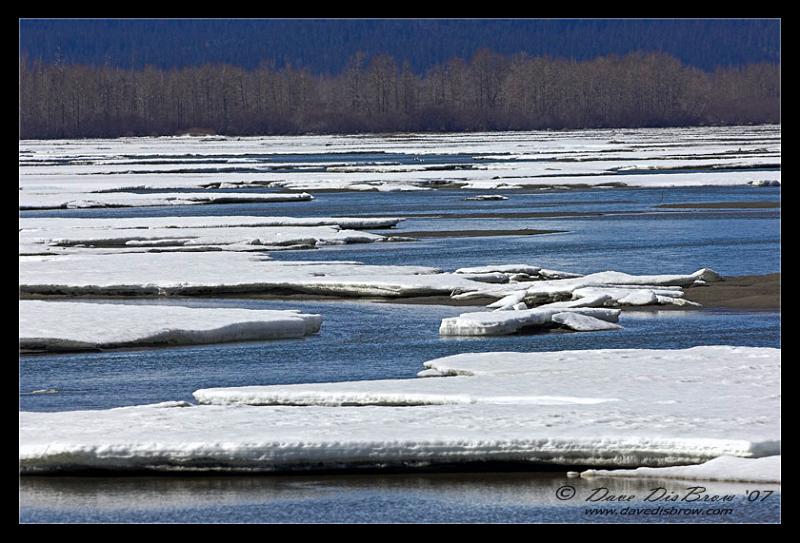 breakup_4480.jpg - Chilkat Breakup