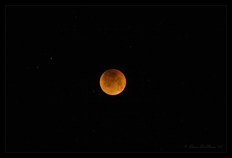 elicpse-moon_8870.jpg - Moon Eclipse