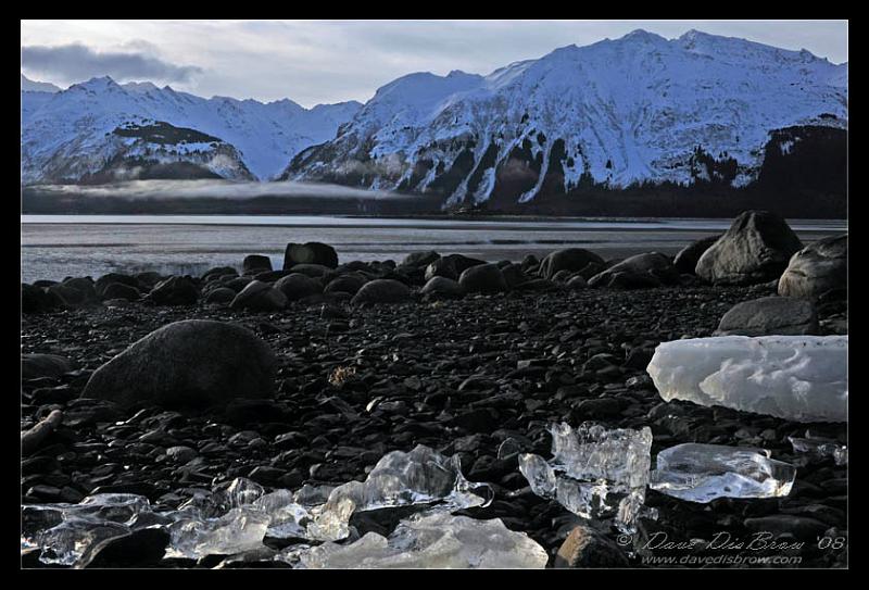 ice-diamonds-web_7260.jpg - Ice Diamonds on the Chilkat River