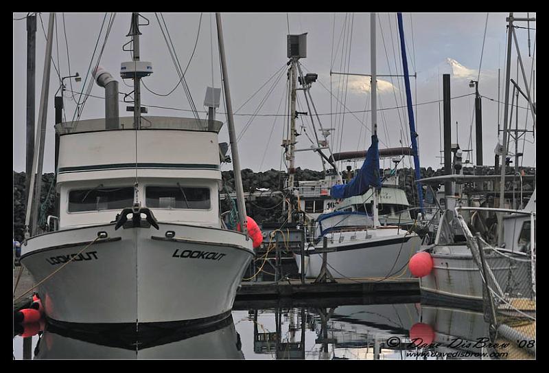 mtn's-harbor-web_7375.jpg - Mountains peeking through the fog
