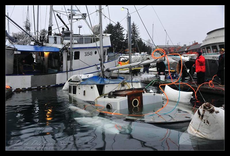 raising-web_7443.jpg - Oops